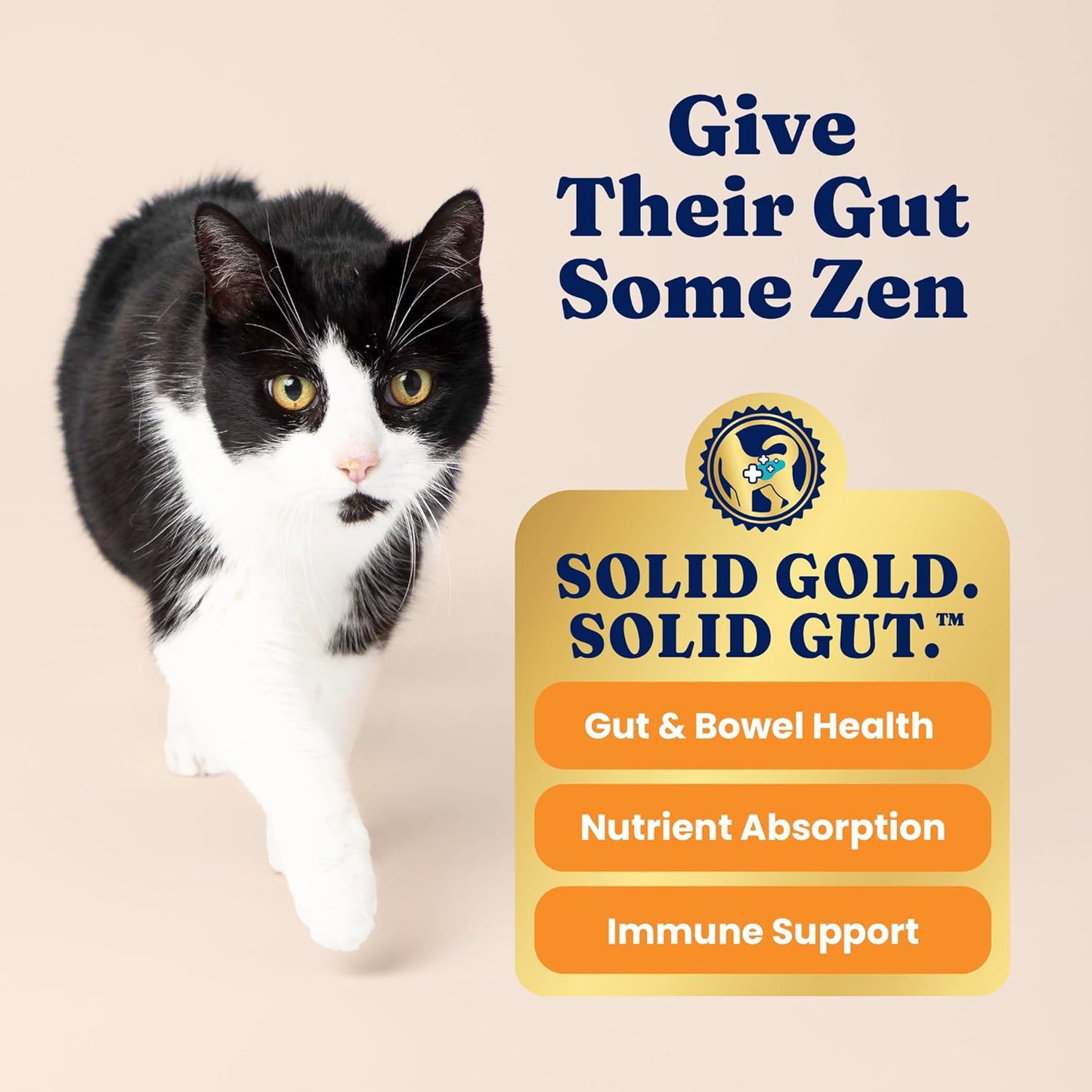 Solid Gold Indoor Dry Cat Food - Grain Free & Gluten Free - Salmon Cat Food Dry Kibble for Indoor Cats for Gut Health - Sensitive Stomach & Hairball Support for Adult Cats - 12LB