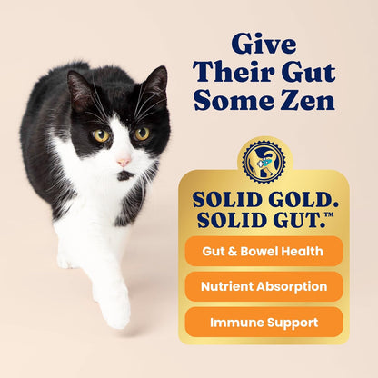 Solid Gold Indoor Dry Cat Food - Grain Free & Gluten Free - Salmon Cat Food Dry Kibble for Indoor Cats for Gut Health - Sensitive Stomach & Hairball Support for Adult Cats - 12LB